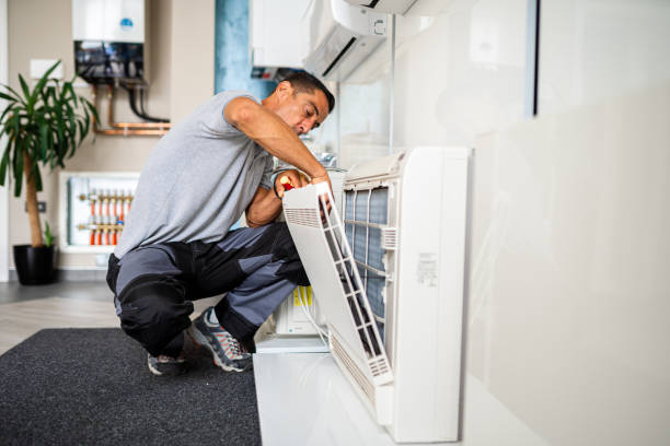 Best Home Air Vent Cleaning  in Mountlake Terrace, WA